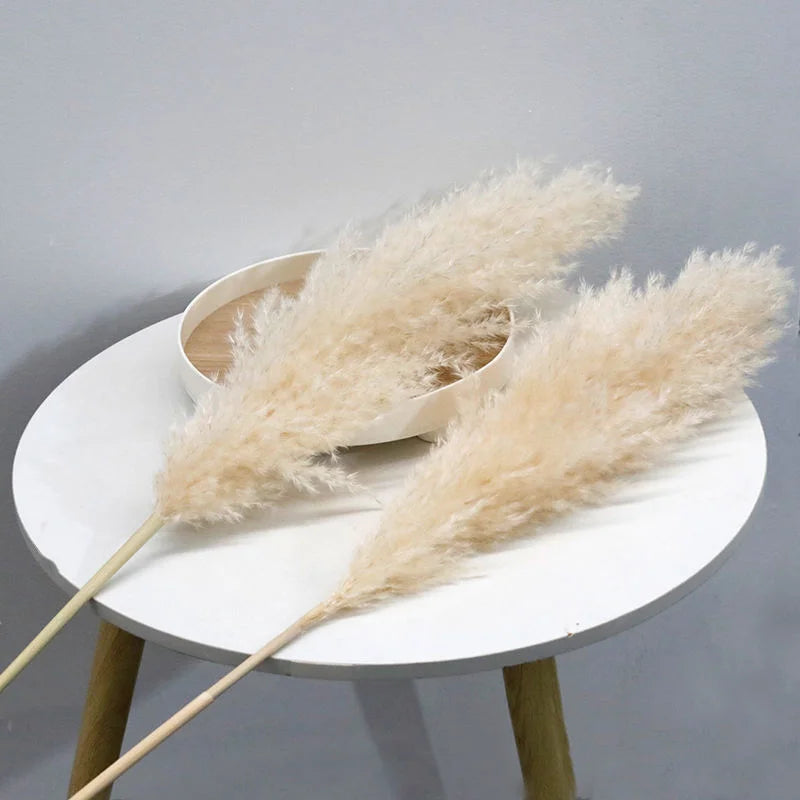 12Pcs Pampas Grass Fluffy Grande - Decoración Boho para Hogar y Bodas