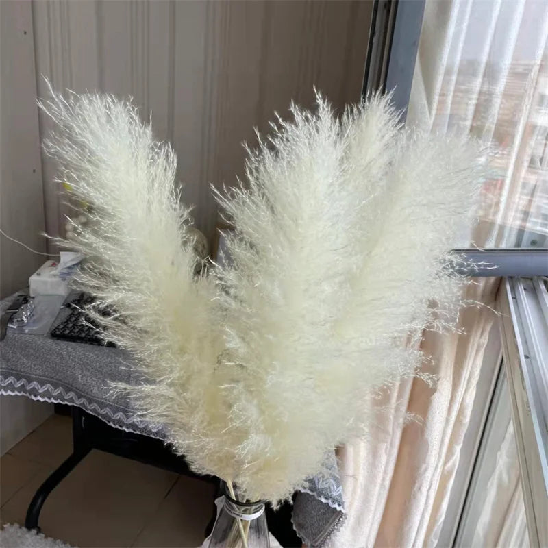 12Pcs Pampas Grass Fluffy Grande - Decoración Boho para Hogar y Bodas